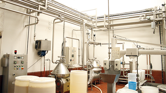 Fabrica de quesos Maxilacteos