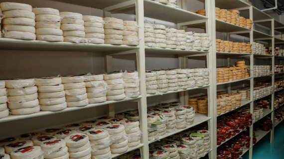 Fabrica de quesos Maxilacteos