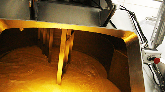 Fabrica de quesos Maxilacteos