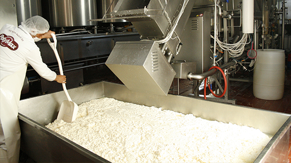 Fabrica de quesos Maxilacteos