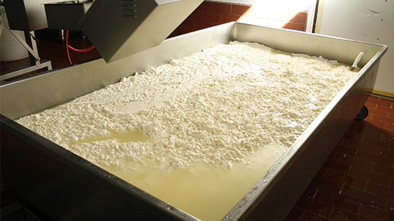 Fabrica de quesos Maxilacteos