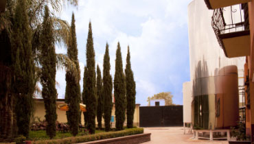 quienes somos maxilacteos