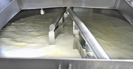 Cuajado productos maxilácteos 