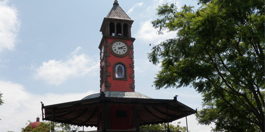 Historia maxilacteos